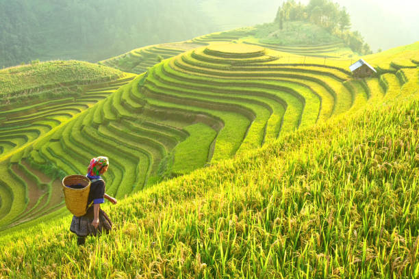 Hình thức thanh toán